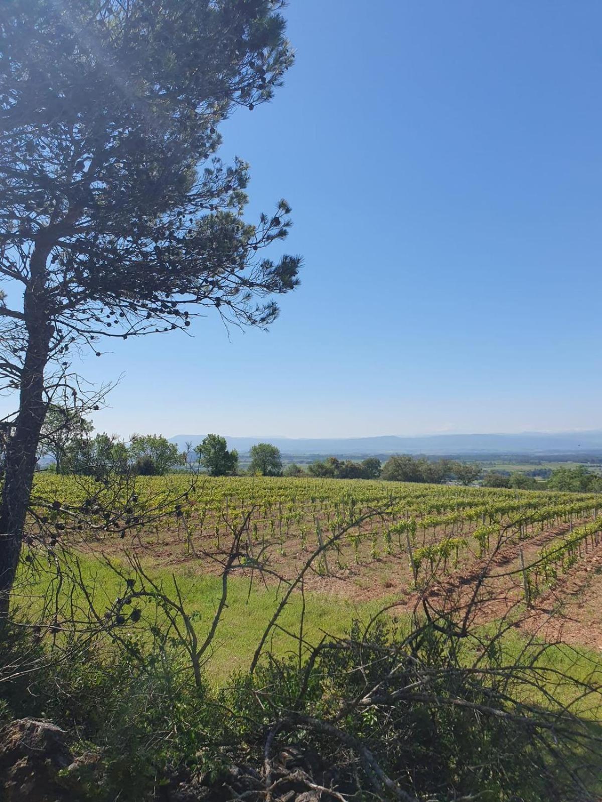 Maison De Charme Caunes-Minervois Luaran gambar